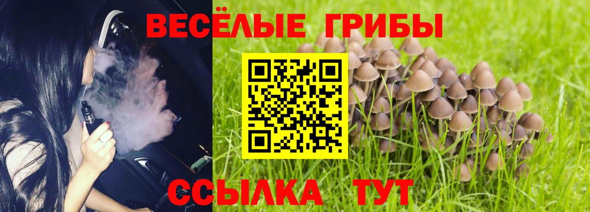 Горячий Ключ  Псилоцибиновые грибы ЛСД  купить наркотик  Вход с VPN 