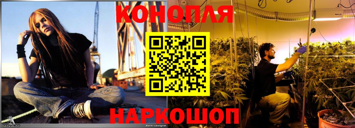 Горячий Ключ  Бошки марихуана Bruce Banner  Вход с VPN  Бошки марихуана планчик  Канабис White Widow  Марихуана ГИДРОПОН 